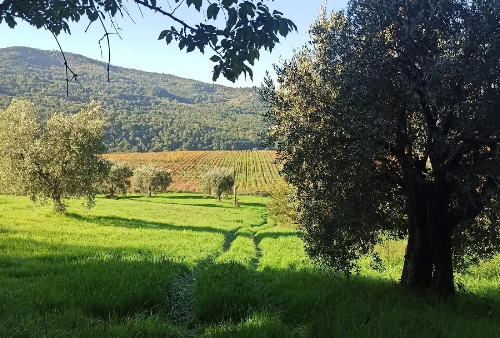 La casetta di campagna Pomino