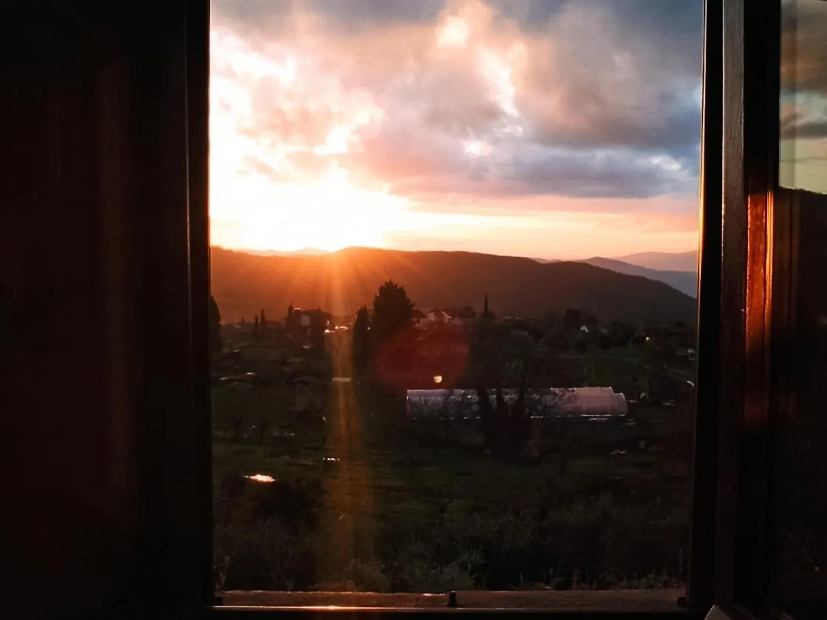 La Casetta Di Campagna Alloggio Nel Chianti Pomino Apartment