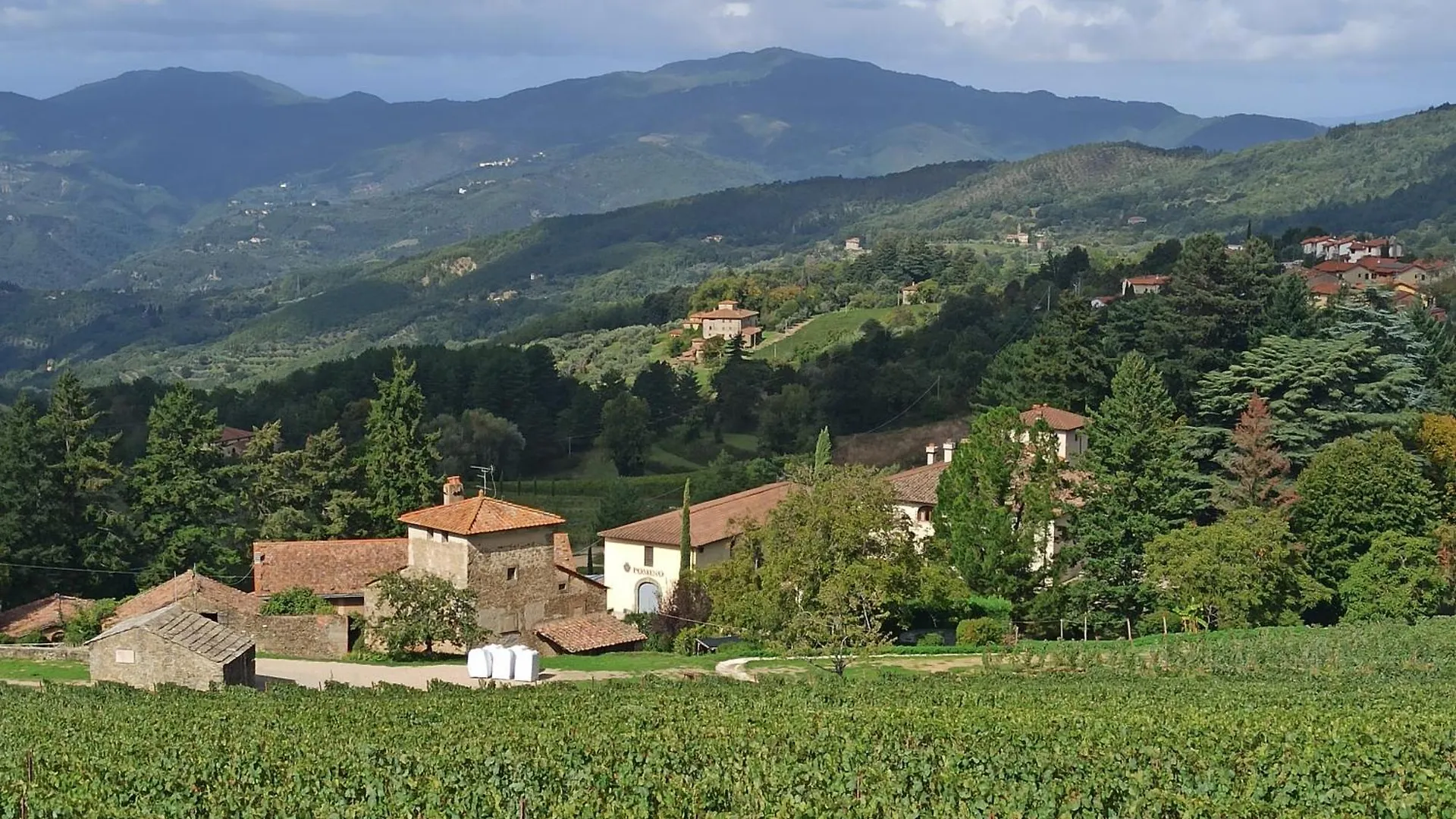 Apartment La Casetta Di Campagna Alloggio Nel Chianti Pomino