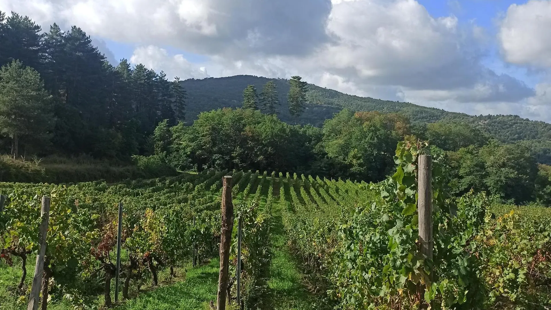 La Casetta Di Campagna Alloggio Nel Chianti Pomino 0*,  Italy